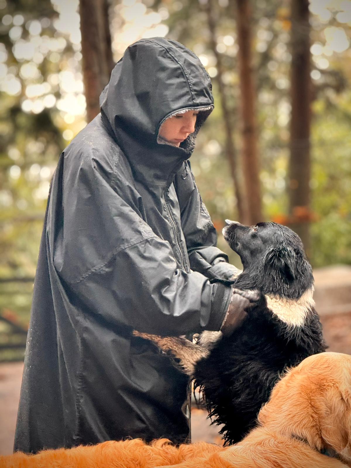 Dog Daycare in Cobham: A Guide for Surrey Families at Duncan's Dog Co.