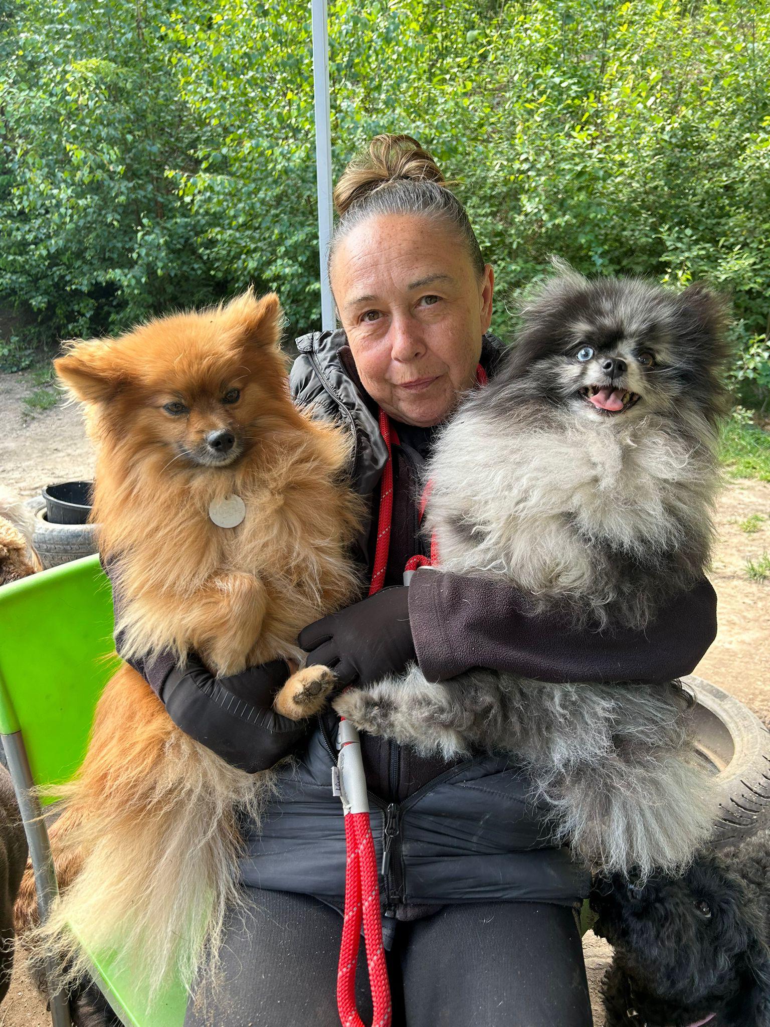 Licensed Dog Daycare: What to Look For at Duncan's Dog Co.