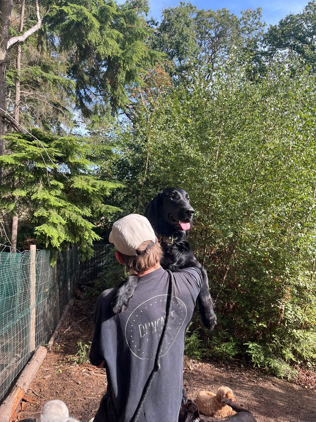 Happy dog enjoying Duncan's Dog Co. woodland daycare