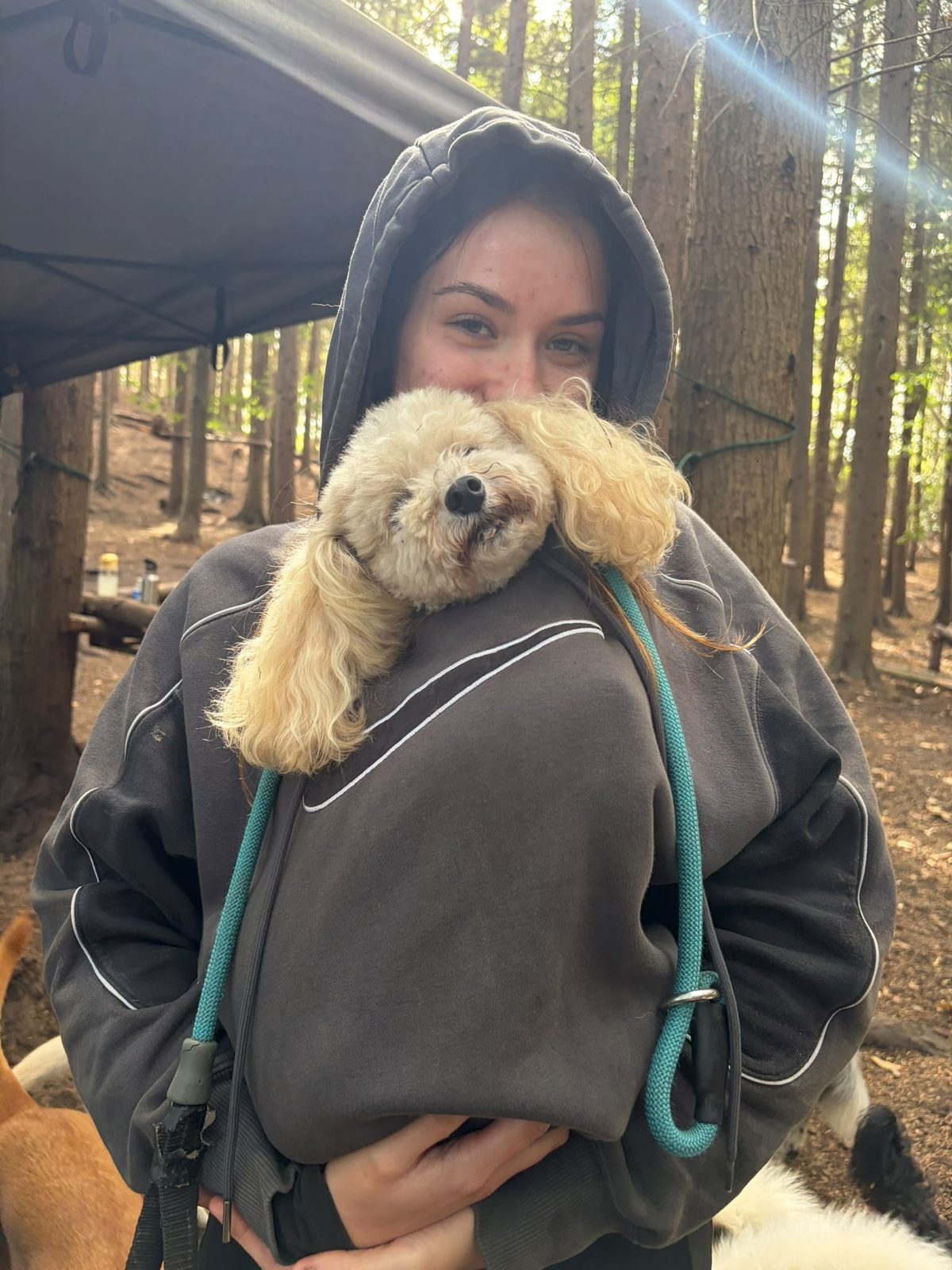 A Duncan's Dog Co. team member holding a cockapoo