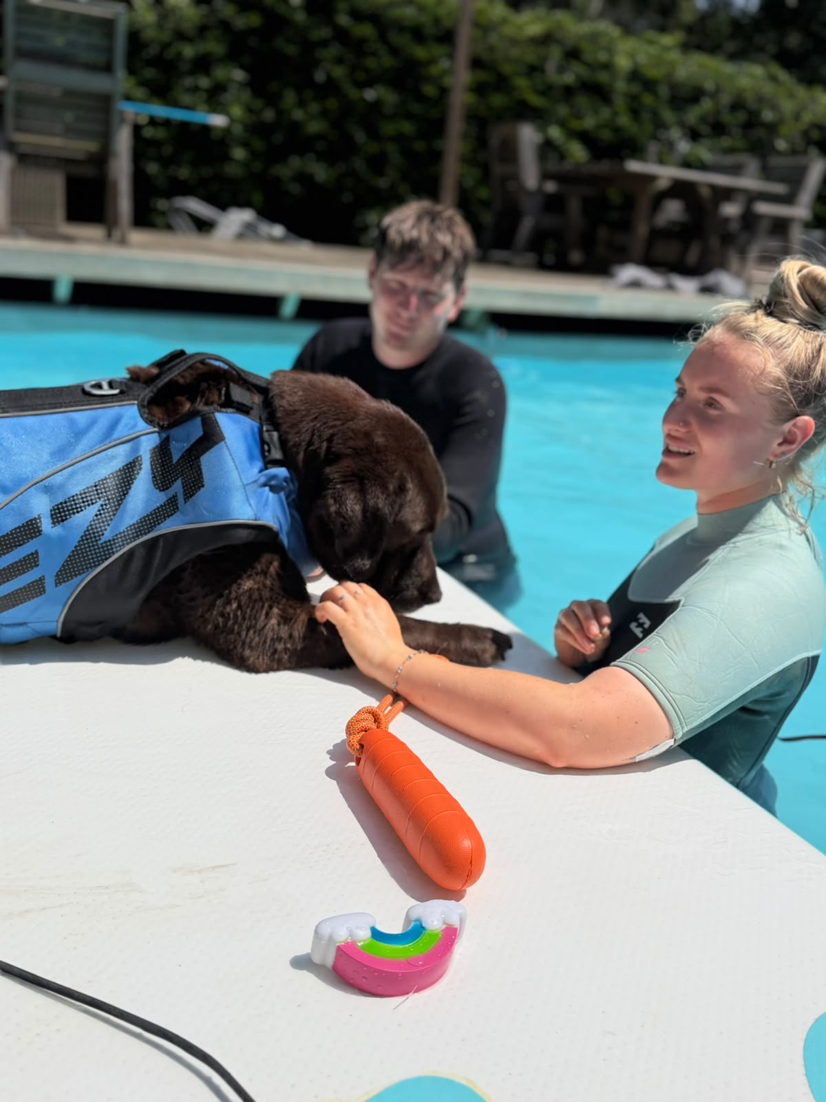 Dog on the poolside with the SPLASH team at Duncan's Dog Co.