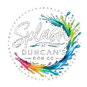 SPLASH Dog Swimming at Duncan's Dog Co.